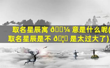 取名星辰寓 🐼 意是什么呢(取名星辰是不 🦁 是太过大了)